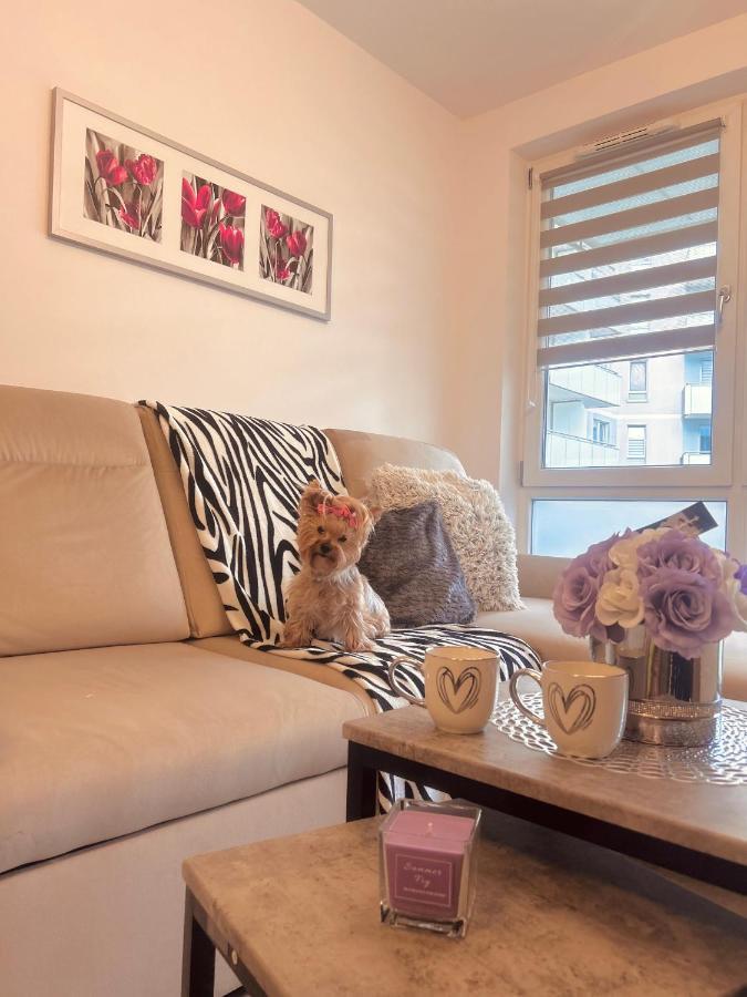 Downtownapartments Andy Air-Conditioned, Underground Parking Available Rzeszow Bagian luar foto